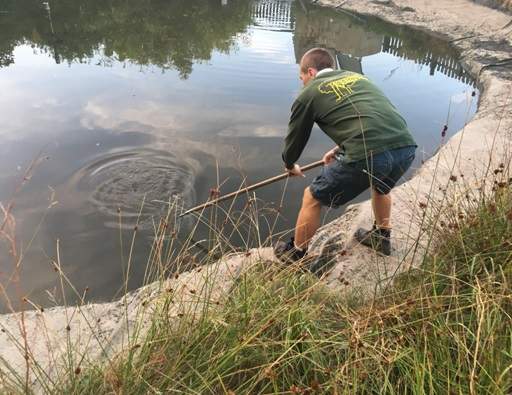 Removing debris from pond